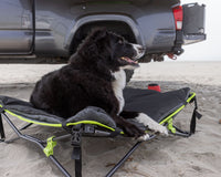 Quick Fold Dog Bed with Padded Mat