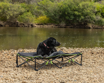 Quick Fold Dog Bed with Padded Mat (XL)