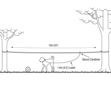 Pet Tethering Leash System