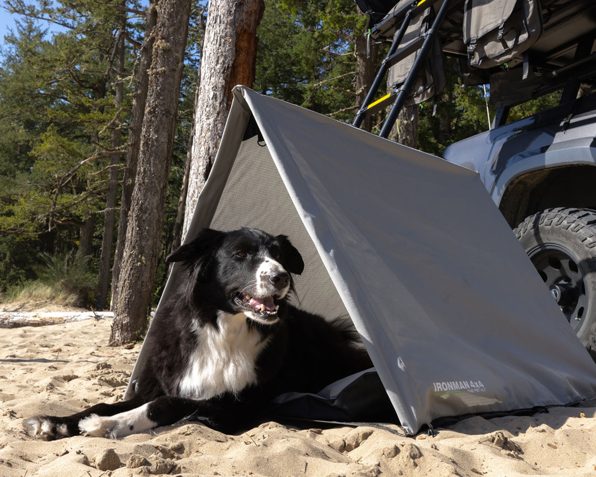 The Pet Hut | Dog Swag Tent