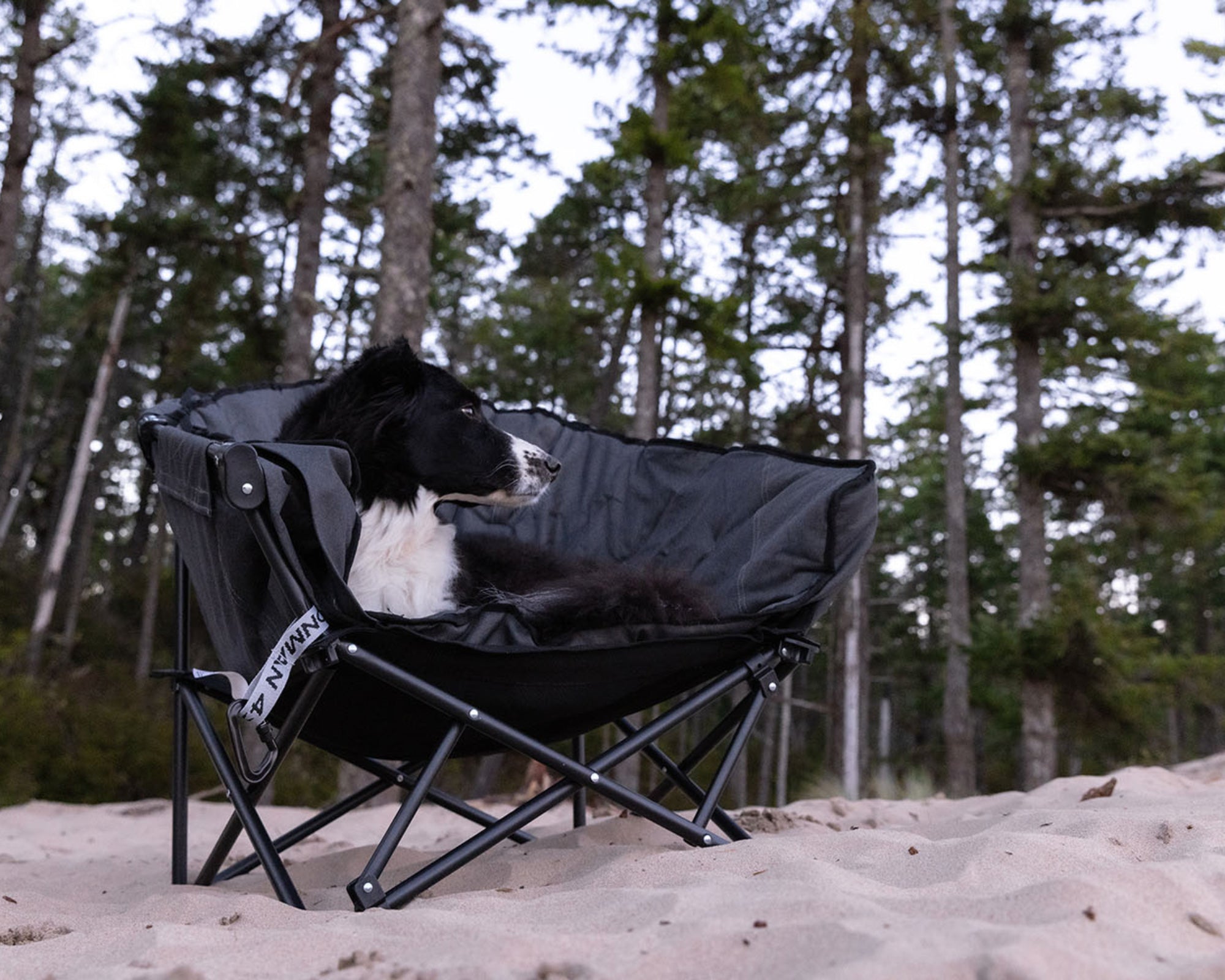 The Pet Lounger | Quick Fold Dog Camp Chair