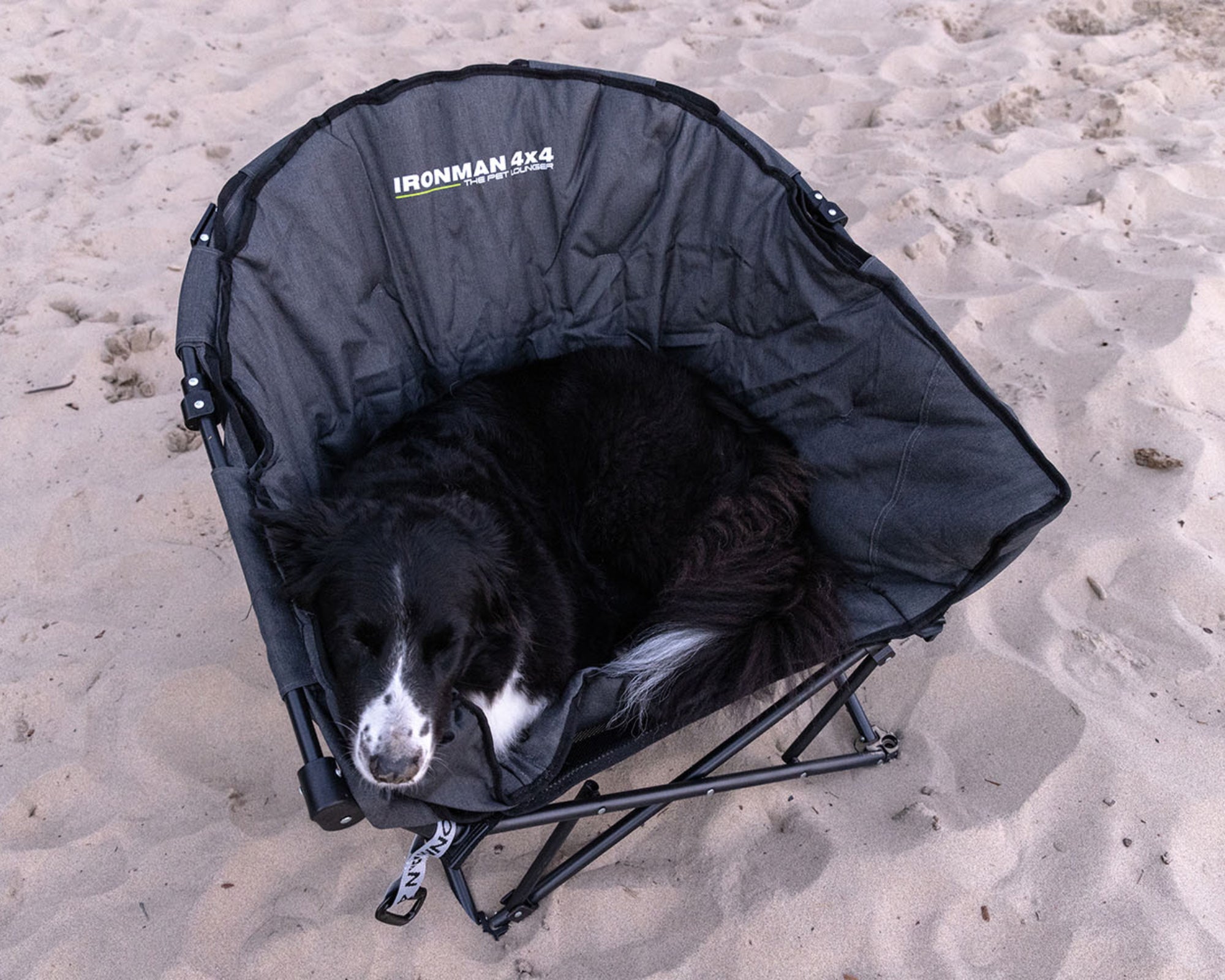 The Pet Lounger | Quick Fold Dog Camp Chair