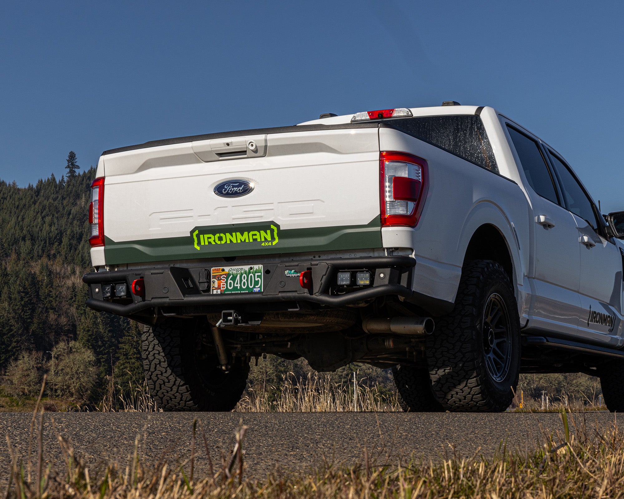 Raid Rear Bumper Kit | Ford F-150 (2015-2020)